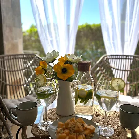 Apartment студио Premium,смокиня,созопол,5звезден затворен комплекс,4 басейна,1ва линия море Dobrich (Yambol)